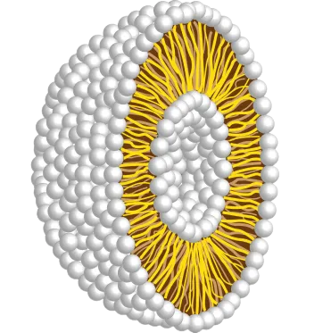 Check out our Premium Phospholipids Profile.
