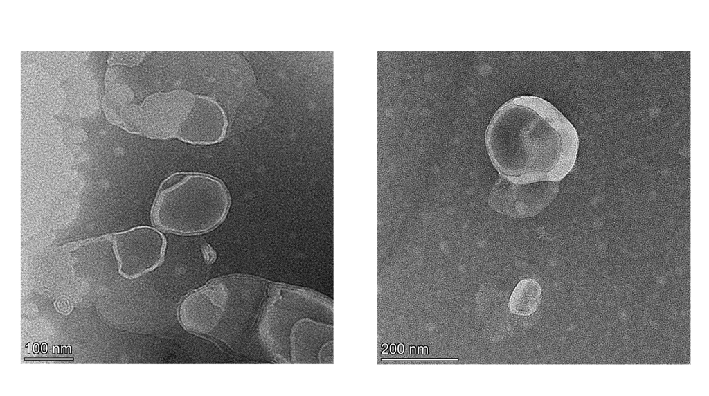 ReaLipo®C Liposomal Vitamin C 85 Powder