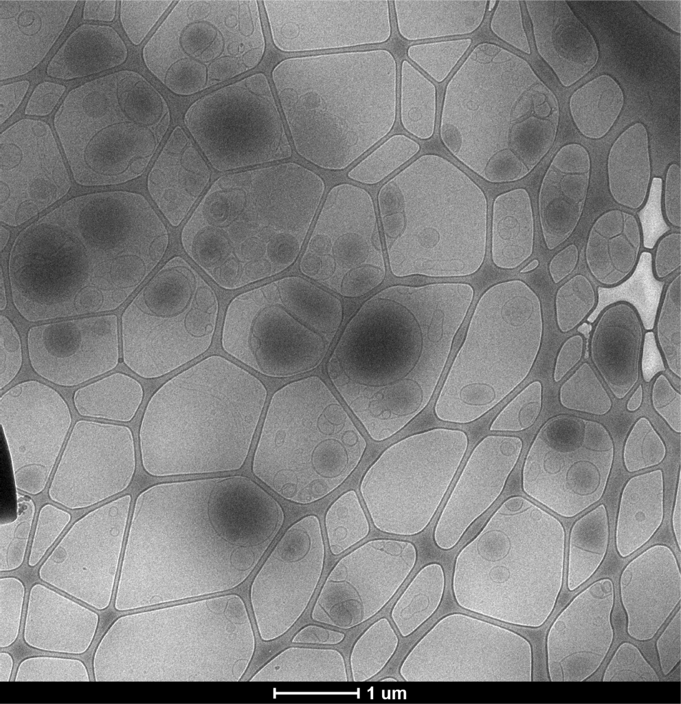 ReaLipo® MultiVitamin Liposomal A, B, C, D, E & K Cryo-EM Visualization of Multidimensional Liposomes