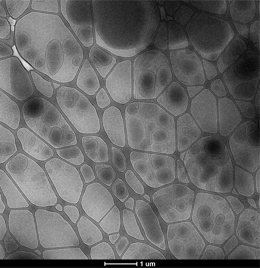 ReaLipo® MultiVitamin Liposomal A, B, C, D, E & K Cryo-EM Visualization of Multidimensional Liposomes